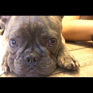 Meet your Posher, Janine